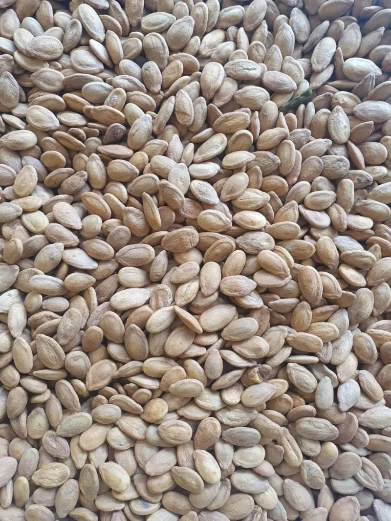 حب احمر 